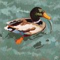 Ducking Around 8x8"