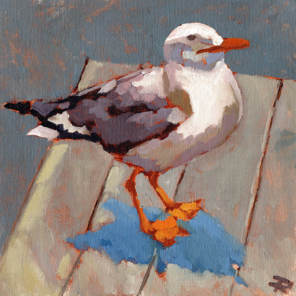 Gully 8x8"